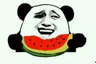 吃瓜群众清凉一夏,吃瓜群众共享欢乐时光