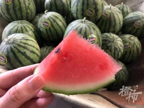 点上方数字吃瓜,揭秘吃瓜背后的趣味与智慧