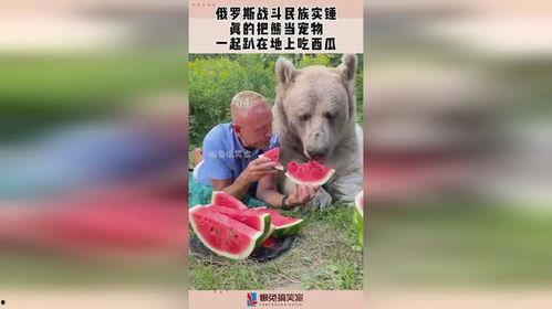 熊瓜怎么吃,探索美味与健康的完美结合