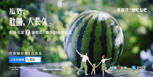 摘瓜吃的文案,探寻自然馈赠的味蕾之旅