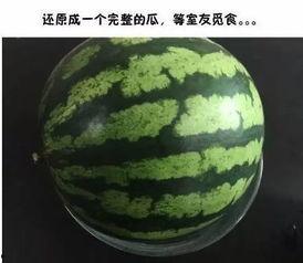 和室友吃瓜发现大瓜,揭秘娱乐圈惊人内幕