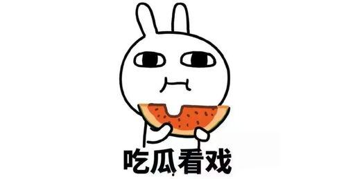 咸鱼豪门夫妇吃瓜,揭秘娱乐圈背后的甜蜜与争议