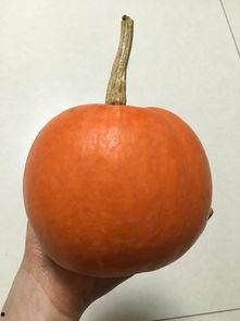 吃大瓜手心发黄,揭秘“吃大瓜手心发黄”现象背后的秘密