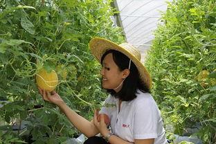 山东青州吃瓜摄影,山东青州特色吃瓜摄影之旅