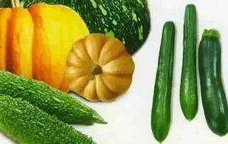 宝悦吃瓜,揭秘娱乐圈幕后故事