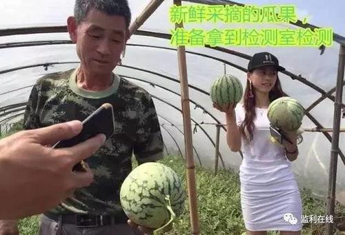 汾阳吃瓜事件直播,汾阳吃瓜事件，真相与争议一网打尽