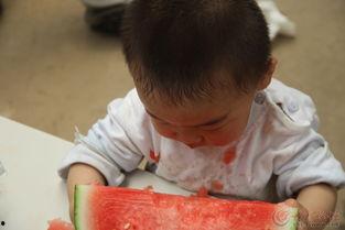 唐僧吃瓜趣事,佛门弟子与瓜果的奇妙邂逅